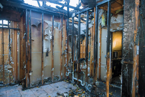 Professional Smoke Damage Removal technician working in Warsaw, MN